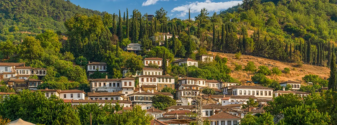 Doğal güzellikleri ve tarihi evleriyle ünlü Şirince Köyü, İzmir çevresinde gezilecek yerler ve kültürel rotalar için ideal bir destinasyon.